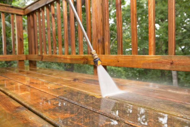 Best Animal Enclosure Cleaning  in Wright, FL